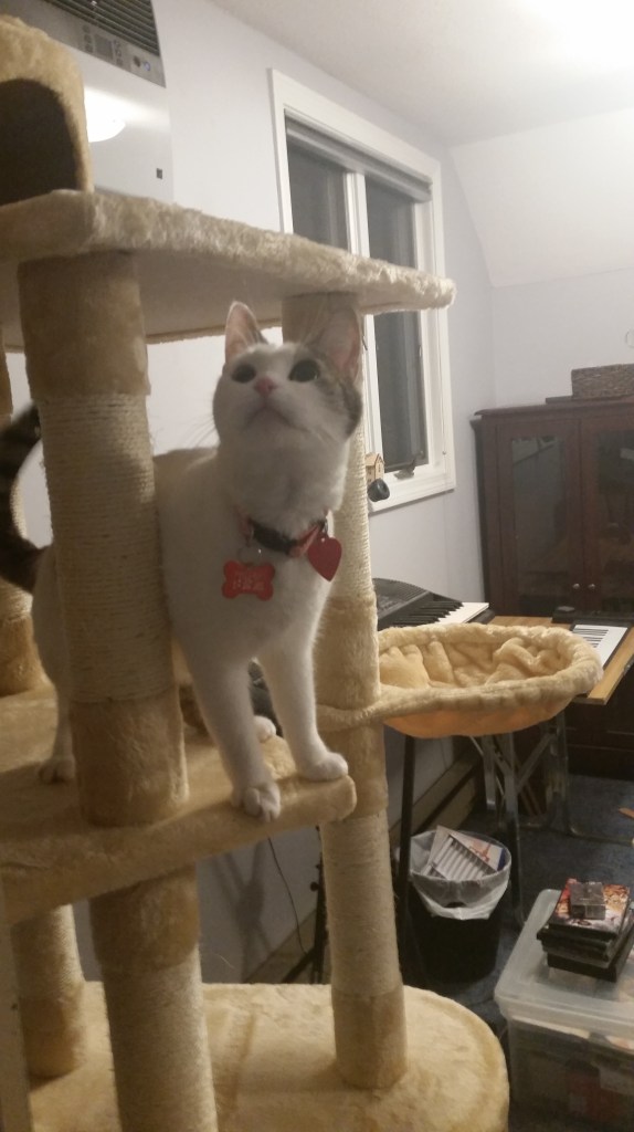 I think she is looking at the skylight.